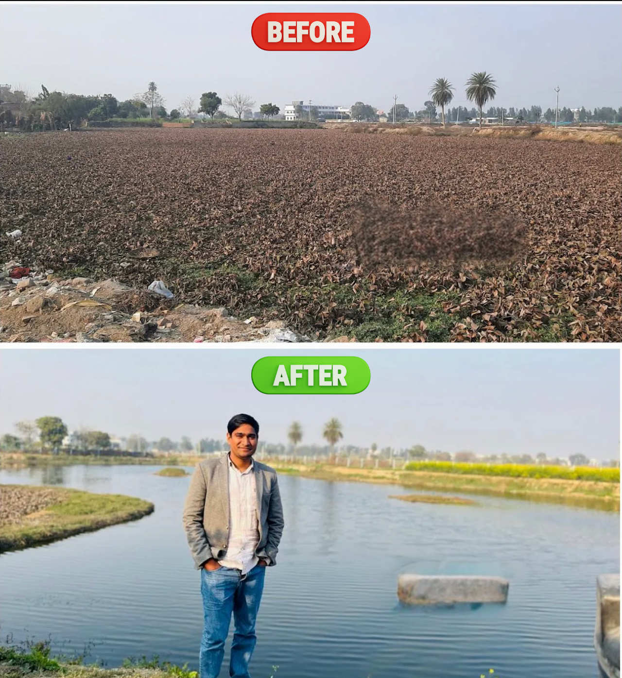 Before & After: Indirapuram to urban forest