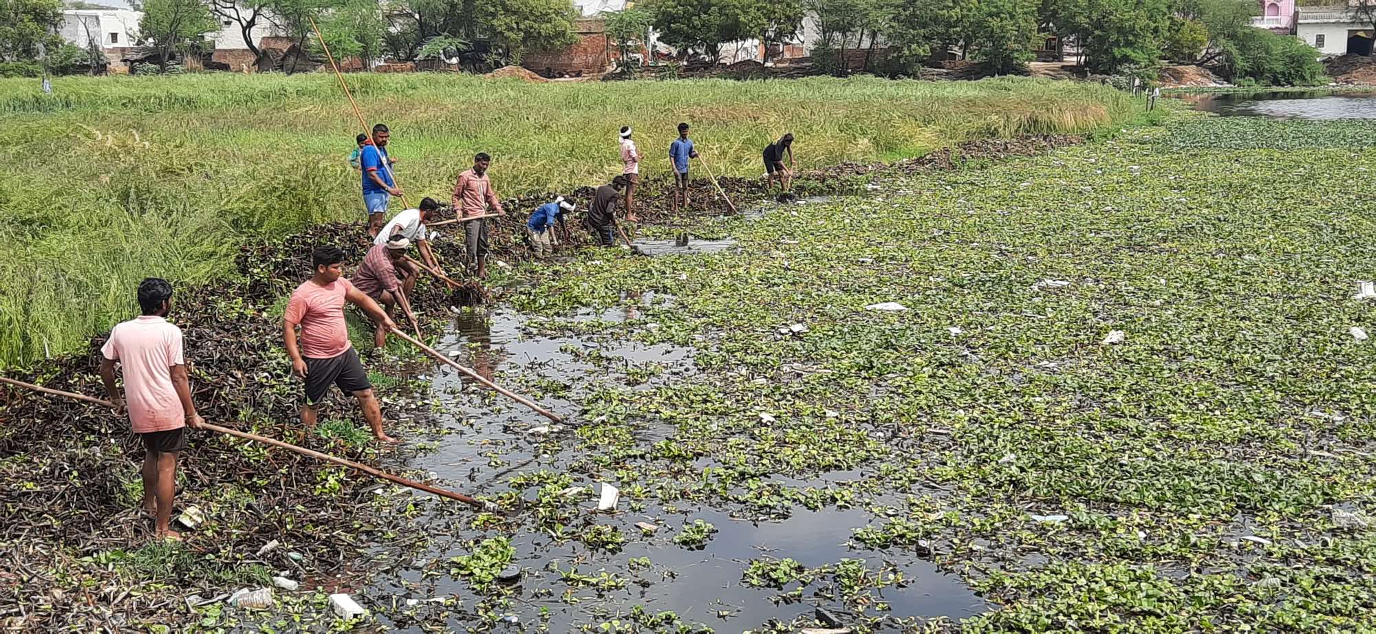 Restored pond ecosystem