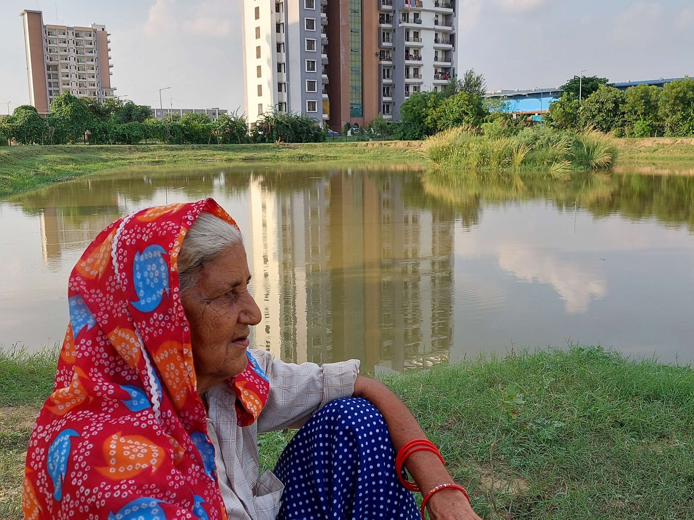 Community pond restoration